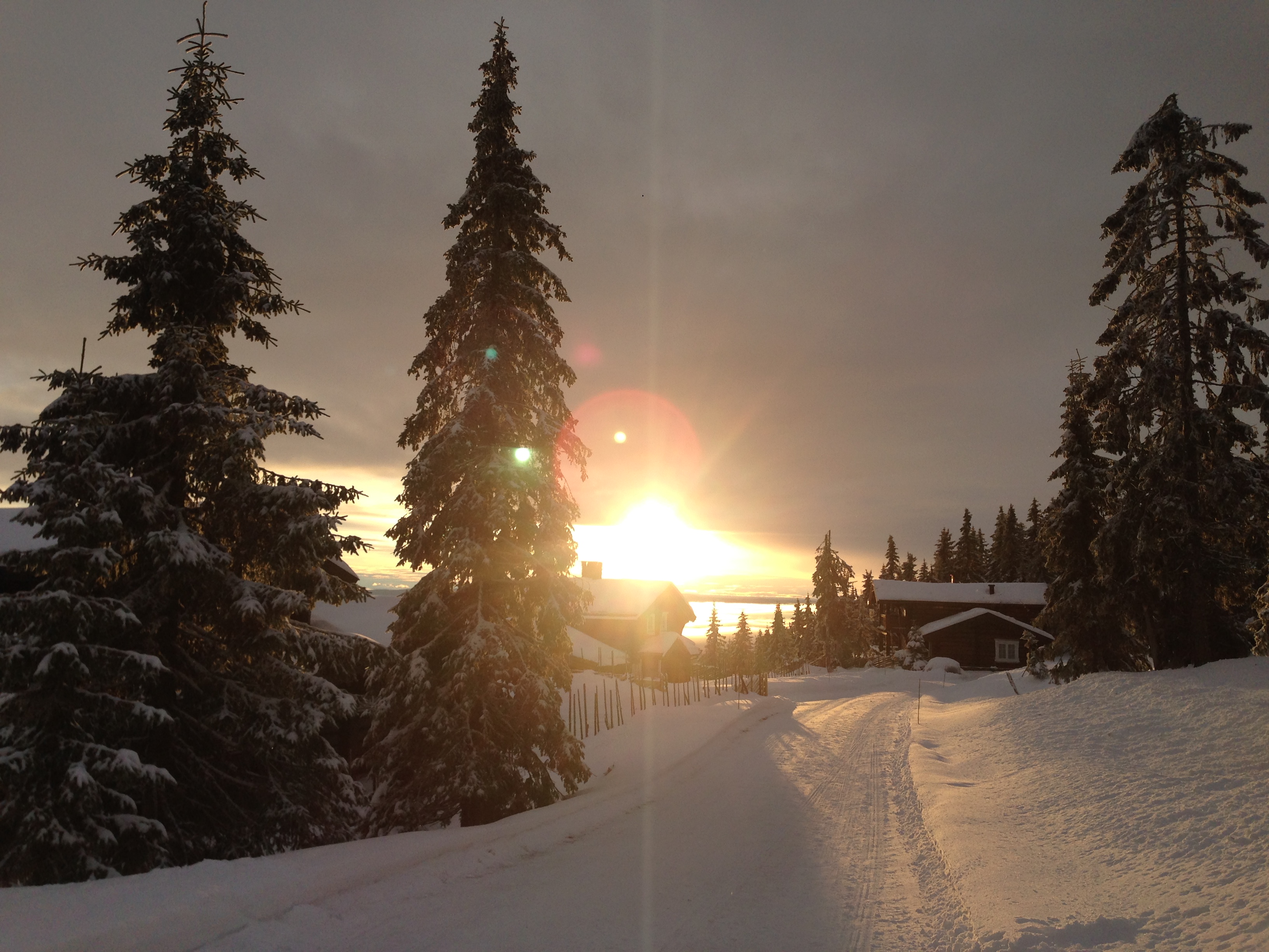 Sjusjøen ski camp